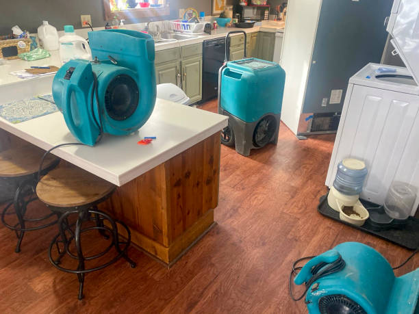 Best Professional water damage repair  in Post Falls, ID