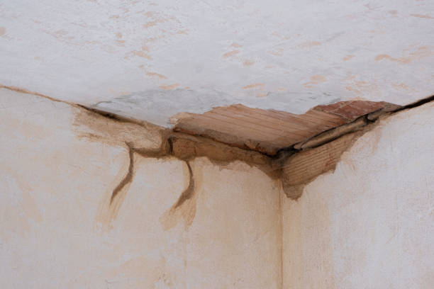 Best Ceiling water damage repair  in Post Falls, ID